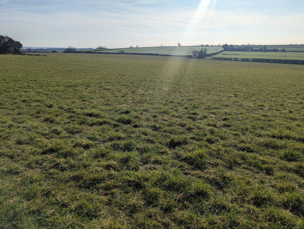 Field in Somerset that killed Hunter Boots