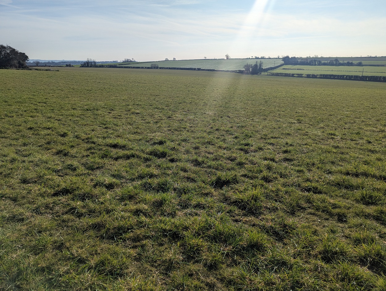 Field in Somerset that killed Hunter Boots